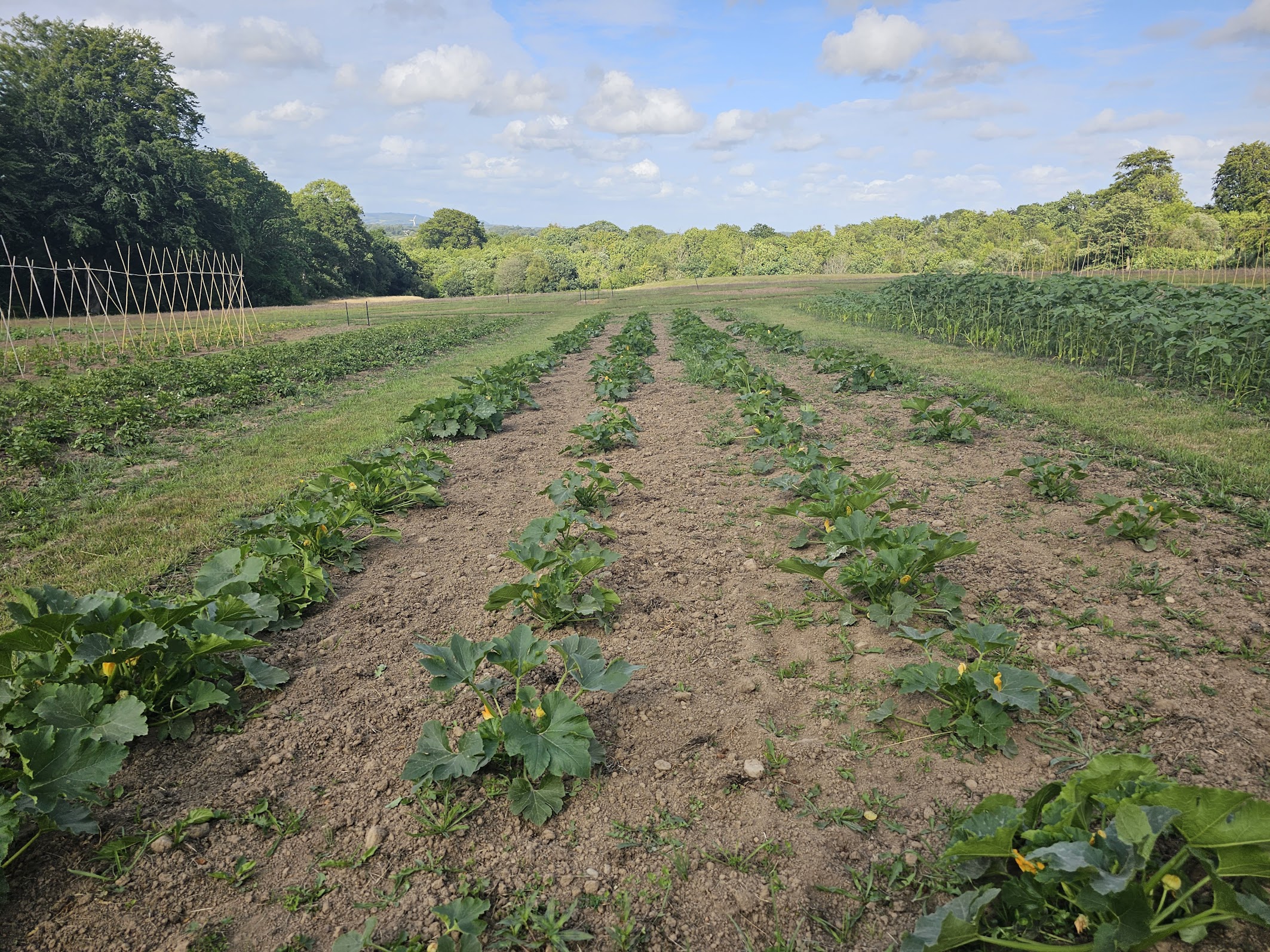 Seasonal farm produce